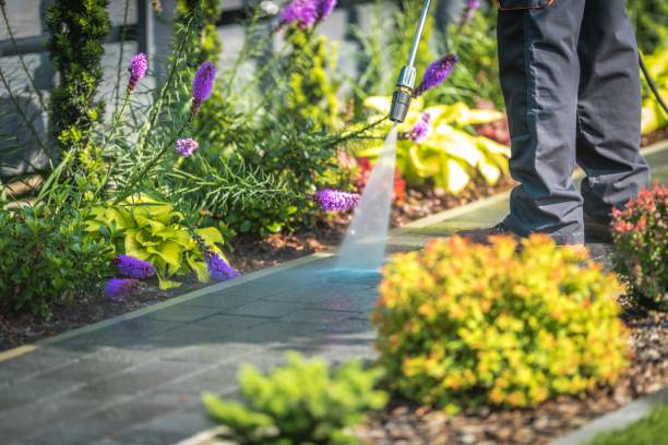 Best Restaurant Pressure Washing  in Woods Hole, MA
